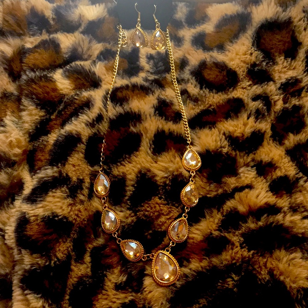 Paparazzi necklace set